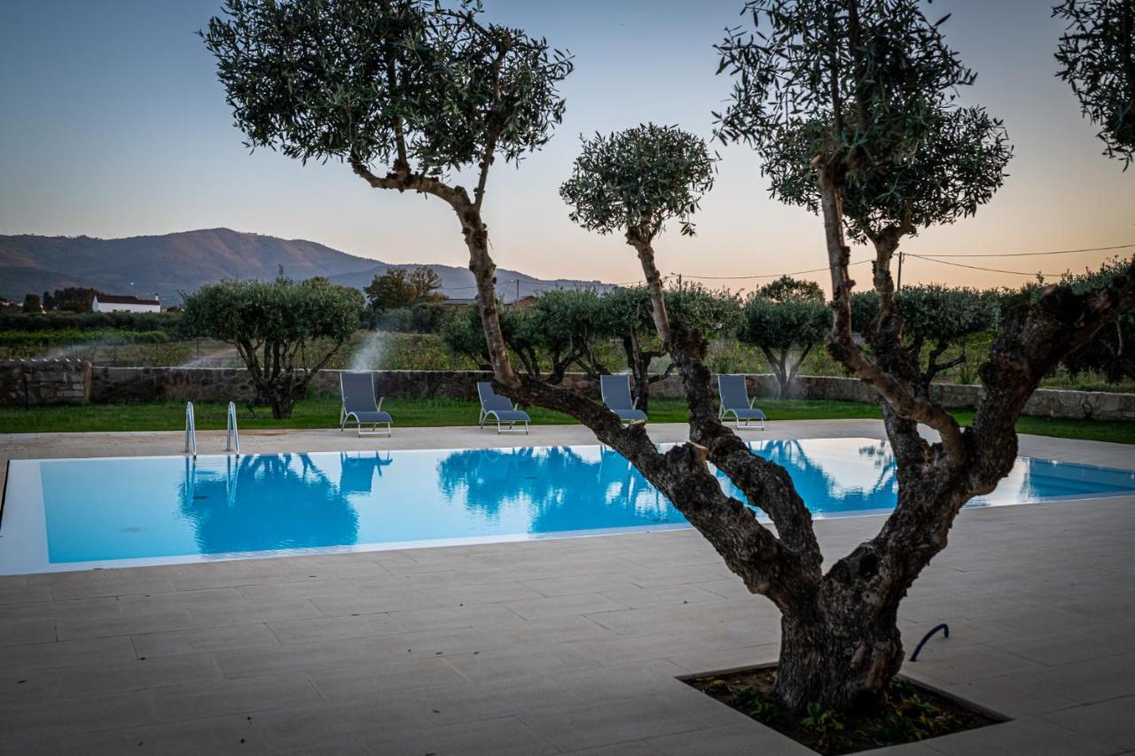Quinta Das Oliveiras Turismo Rural Fundão Esterno foto