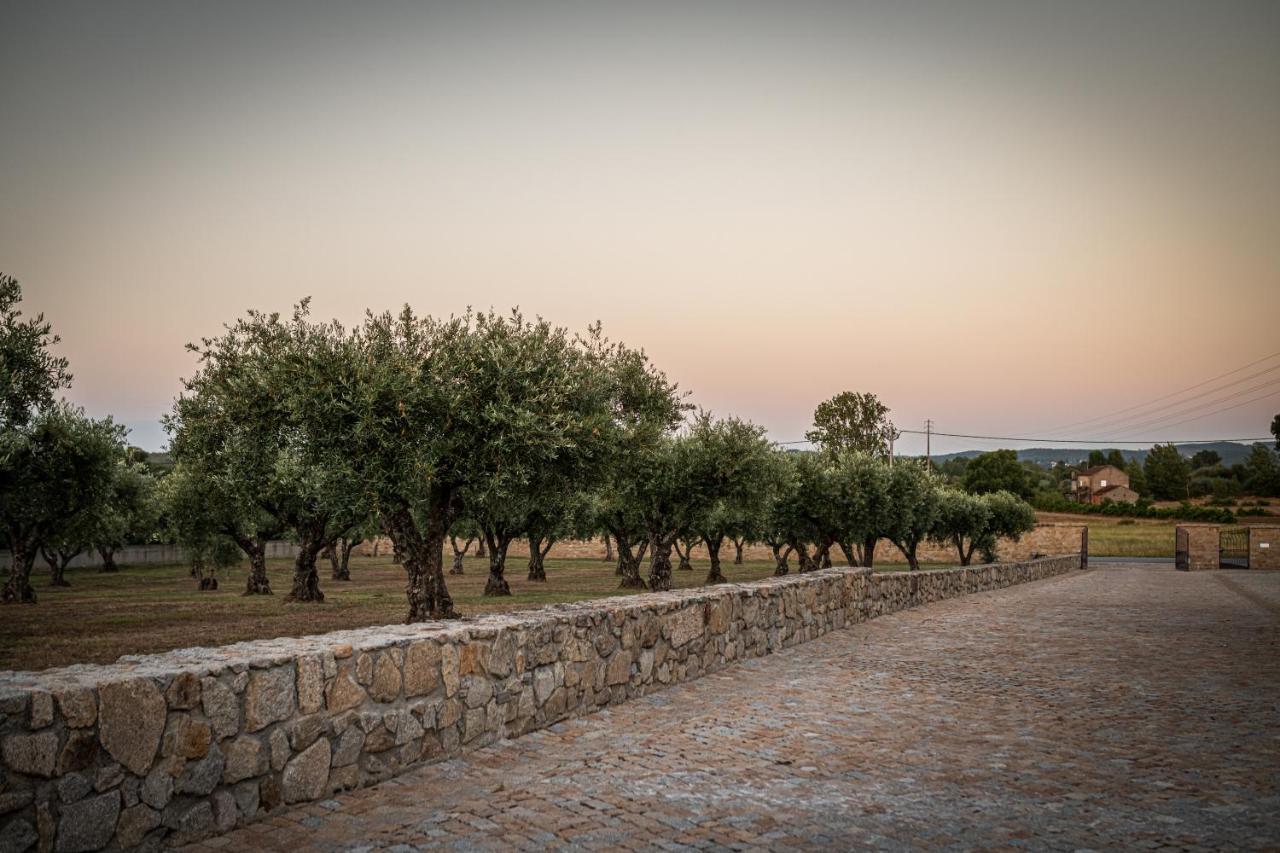 Quinta Das Oliveiras Turismo Rural Fundão Esterno foto